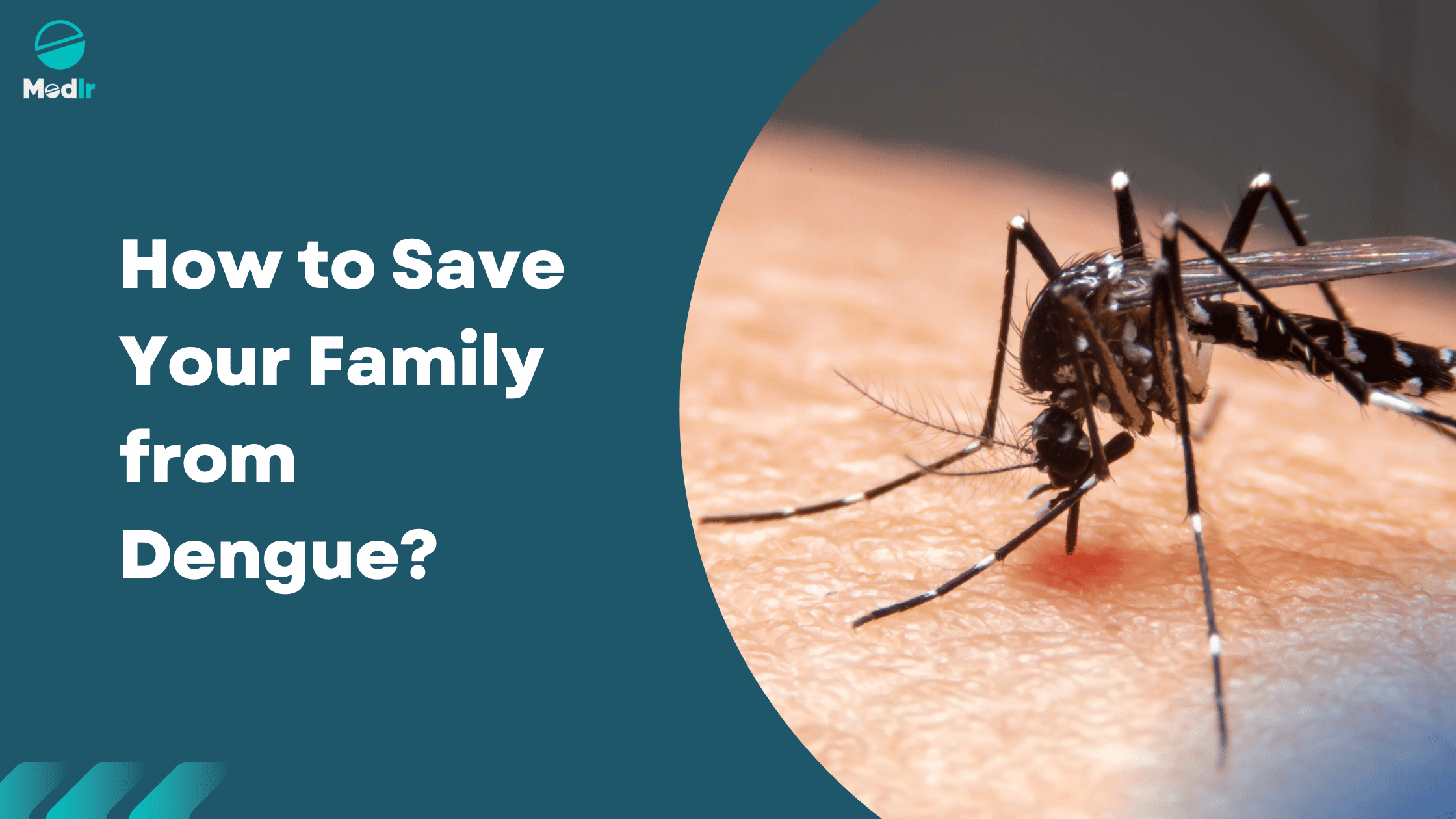 How to Save Your Family from Dengue?