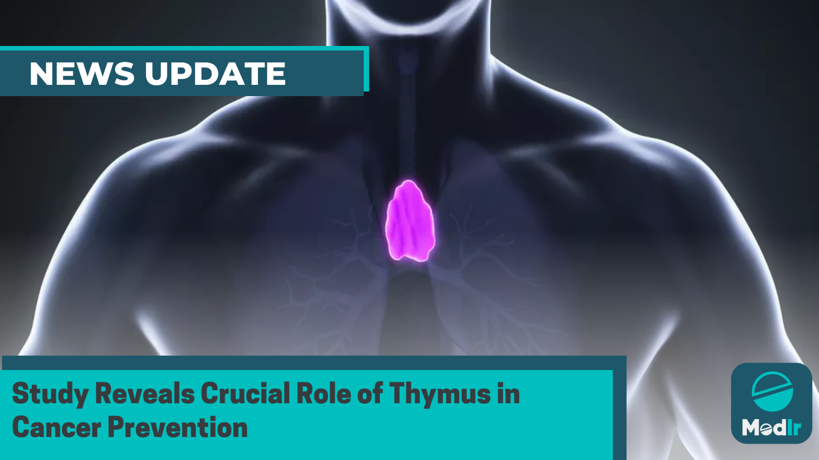 Study Reveals Crucial Role of Thymus in Cancer Prevention