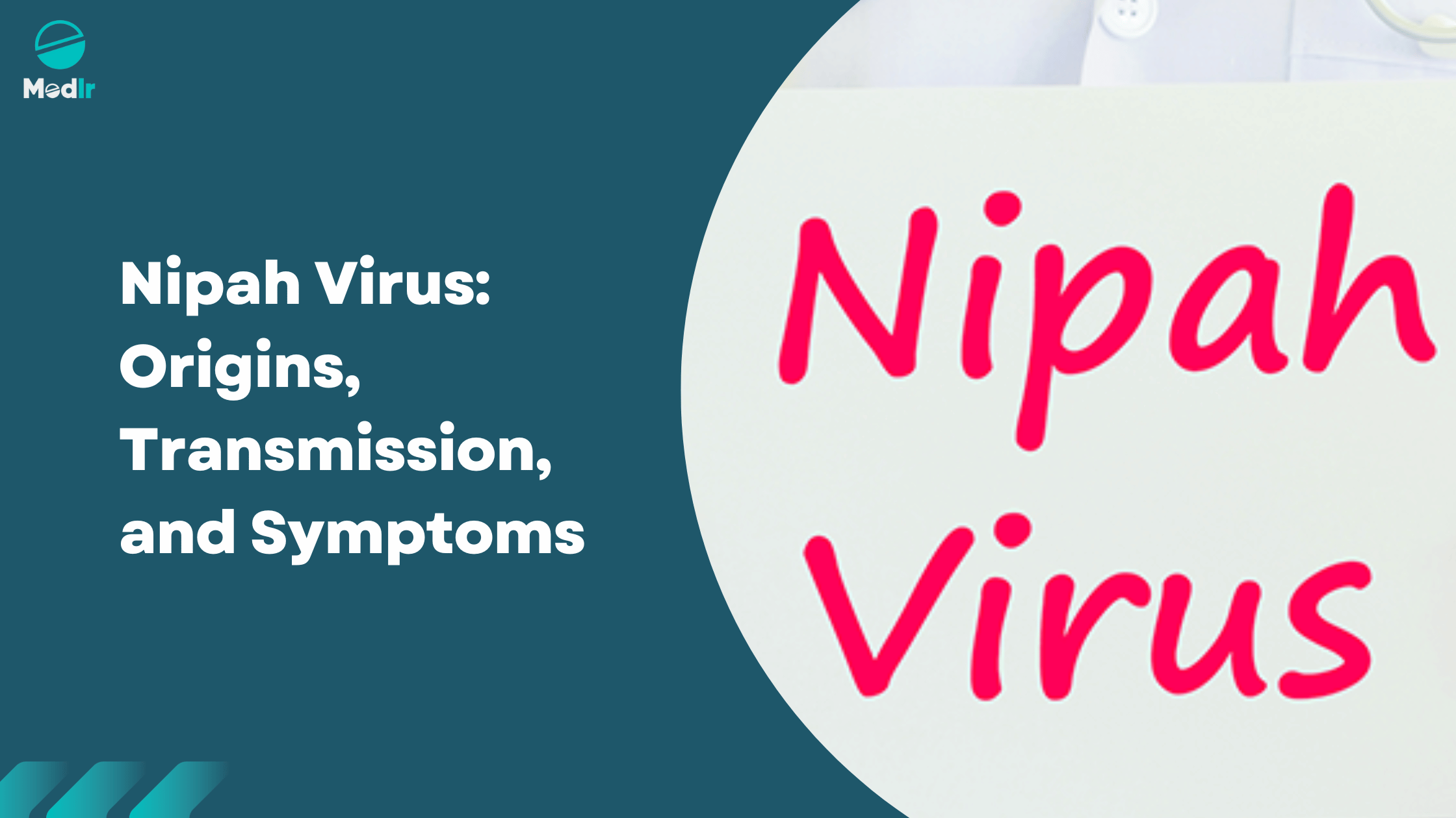 Nipah Virus: Origins, Transmission, and Symptoms