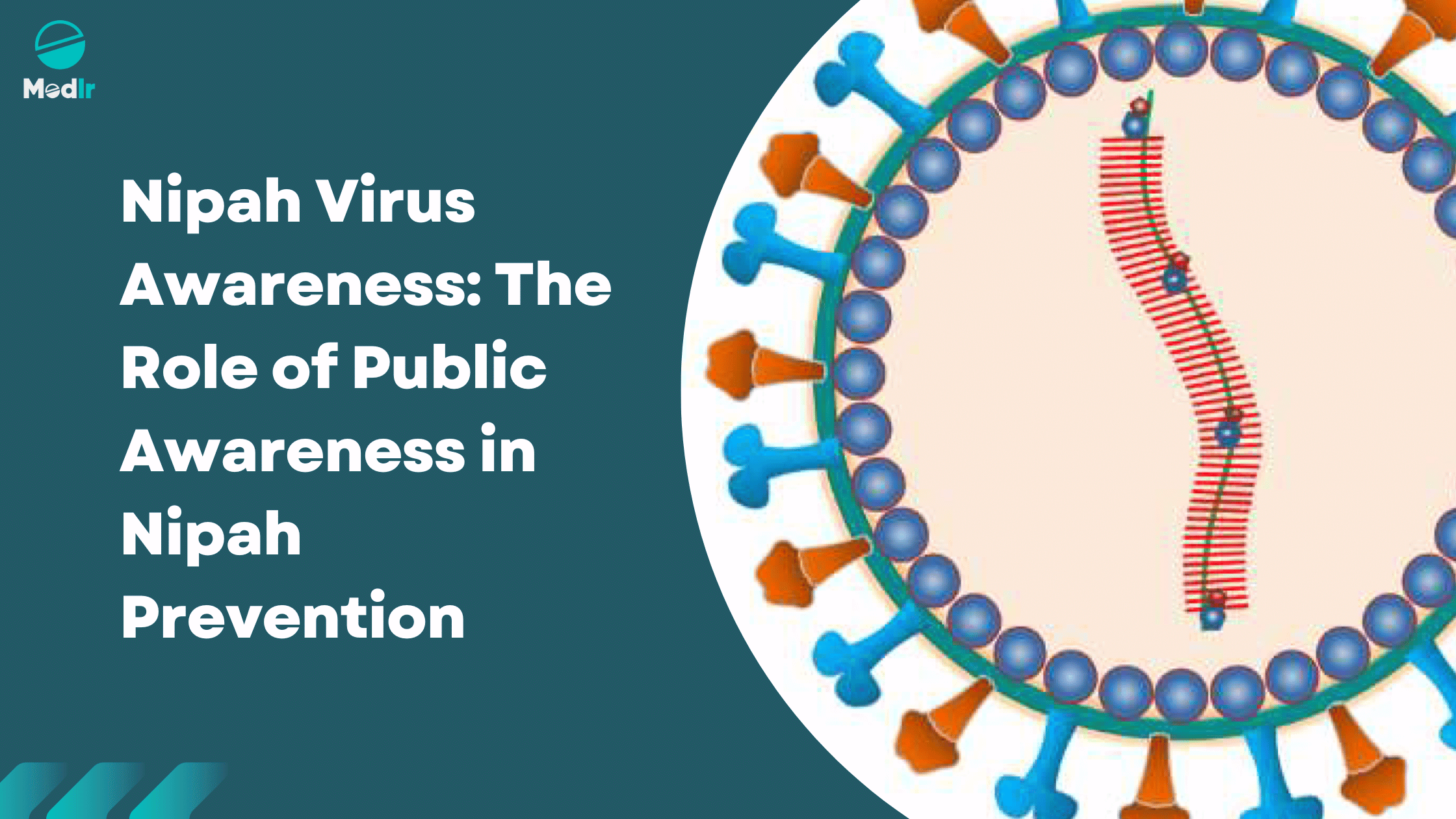 Nipah Virus Awareness: The Role of Public Awareness in Nipah Prevention