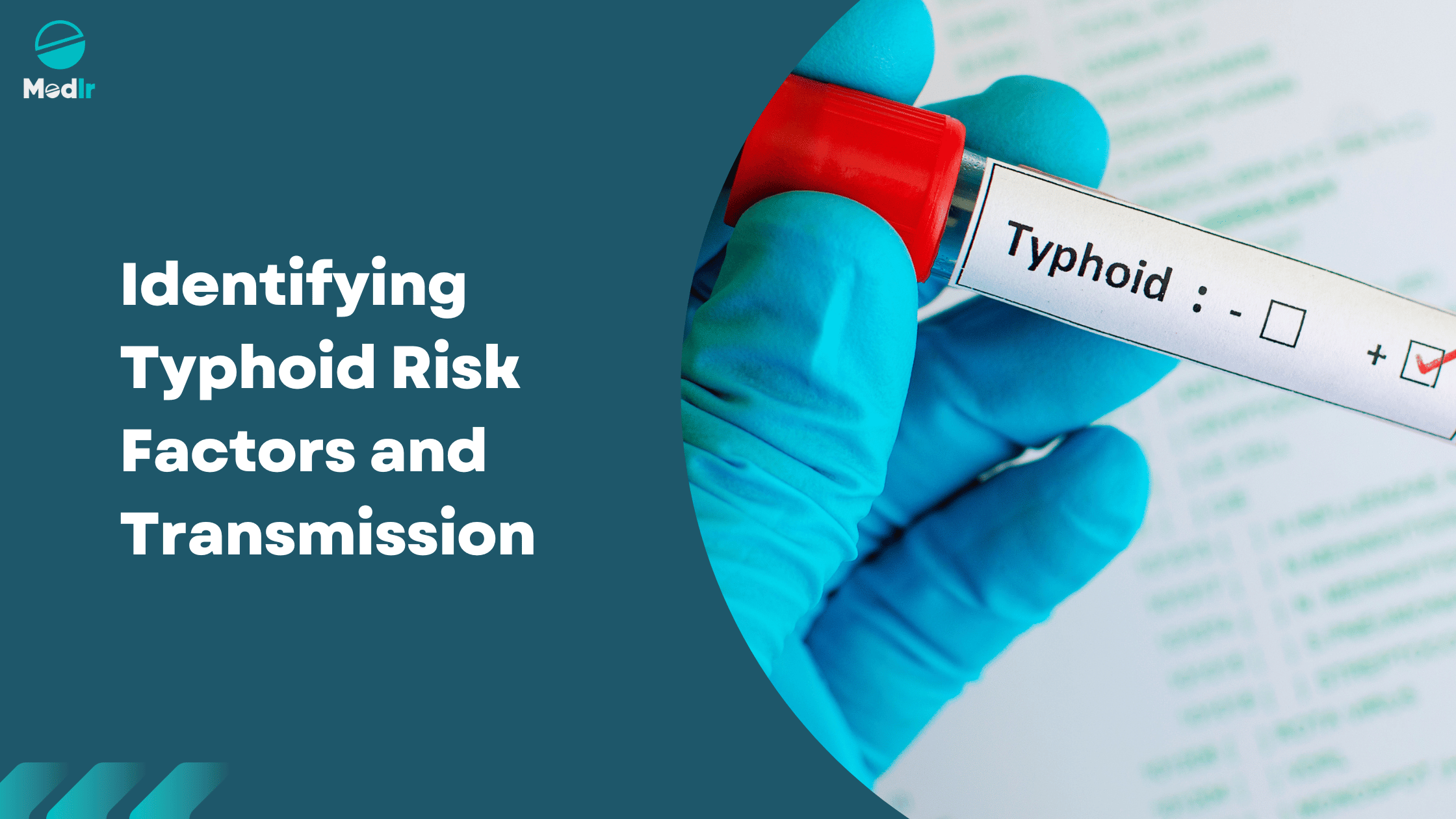 Identifying Typhoid Risk Factors and Transmission