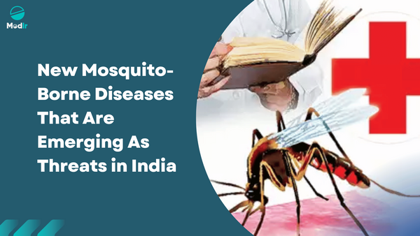 New Mosquito-Borne Diseases That Are Emerging As Threats In India