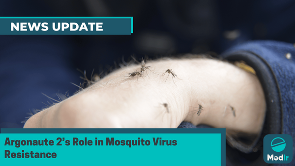 Argonaute 2’s Role in Mosquito Virus Resistance